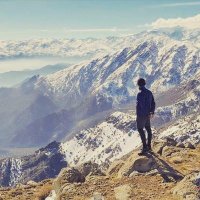 Alberto Arellano (@aarellanoj) 's Twitter Profile Photo