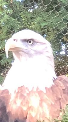 Victor19450068's profile picture. 