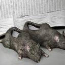 whitney weiss - @whitneyweiss - Twitter