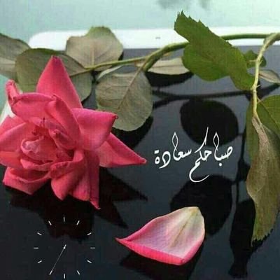 zxp647's profile picture. 