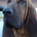 Fred Willems - @decibello - Twitter