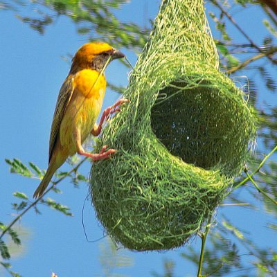 Baldwin01178635's profile picture. 