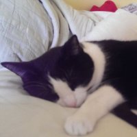 John Poe (@davidpoe223) 's Twitter Profile