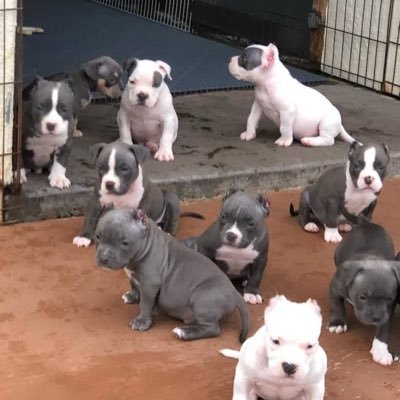 Lisa22813990's profile picture. 