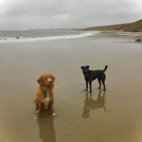 juliet (@julietamos150) 's Twitter Profile Photo