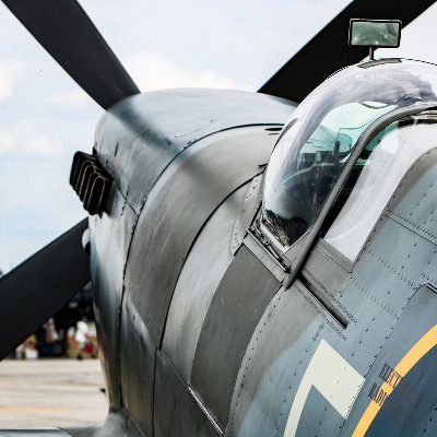 TheElite96's profile picture. Amateur Photographer | Aviation Enthusiast | Senior Forum Moderator for @warthunder | Administrator for @snailbotdiscord