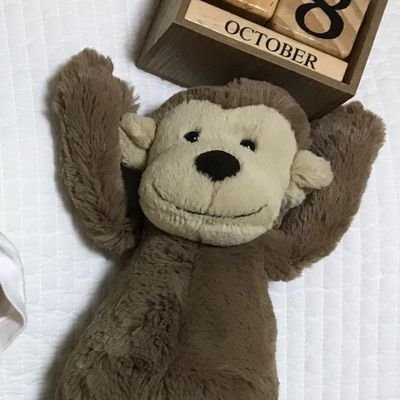 toy_ssmo's profile picture. 手持ちのポータブルオーディオは、たからもの。