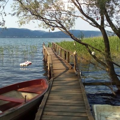 basakneva's profile picture. instagram  @salihbasaksirin