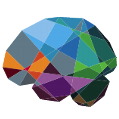 The Virtual Brain