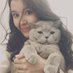 Cat Lovers Community (@catloverscommu2) Twitter profile photo Cat Lovers Community (@catloverscommu2) Twitter profile photo