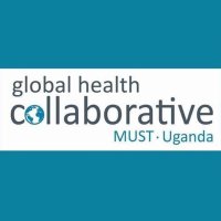 Global Health Collaborative(@GlobalHealthCo4) 's Twitter Profile Photo