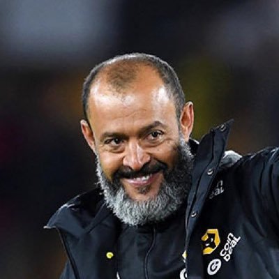 Nuno_Memes's profile picture. Daily Wolves Memes 🔶⚫️
