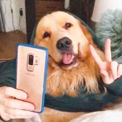 bbcream0141's profile picture. I will follow you(^o^)