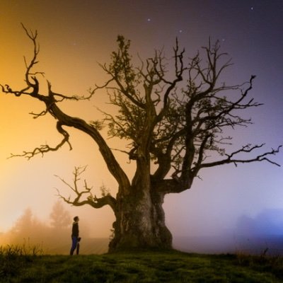Landscape and Dog photographer! Volunteering my time to take pictures of rescue dogs to get them forever homes! Proceeds from website sales goes to this cause.