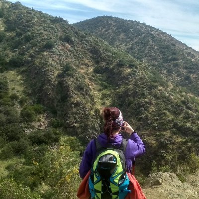 alma_felicita's profile picture. 