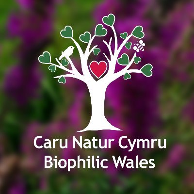 Supporting well-being and wildlife in Wales 🏴󠁧󠁢󠁷󠁬󠁳󠁿 Cefnogi lles a bywyd gwyllt yng Nghymru

Gan y #GarddCymru #GardenOfWales @walesbotanic