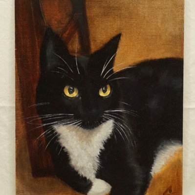 Nutzbuster's profile picture. Sneaking into a country doesn't make you an immigrant anymore than sneaking into a home doesn't make you part of the family . Vet, painter, cats, Freedom