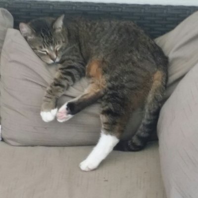 Dawn_Becker55's profile picture. @bluewaterdawn.bsky.social
🌊🌊🌊🌊Mom, Grandma, Great Grandma.   I block stupid.  #VoteBlue