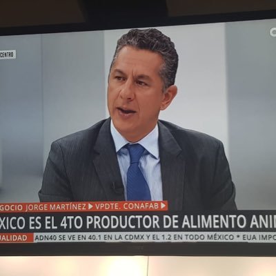 JAMarti76121625's profile picture. Nadador, triatleta, CEO, Consejero, Cruz Azul hasta la muerte, Yucateco por adopción y cariño.