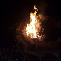 Thomas (@thomas96805933) 's Twitter Profile