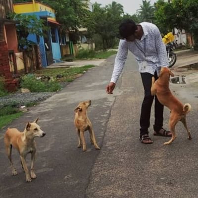 Srinath908096's profile picture. 