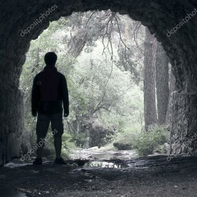 asveisoglu's profile picture. 