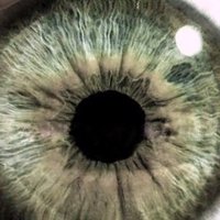 SEE DR.YEE (@seedryee) 's Twitter Profile