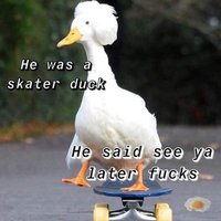 Throckmorton the Skater duck - @BradenMartin18 Twitter Profile Photo