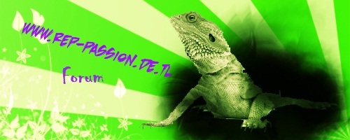 reptilespassion's profile picture. reptiles passion forum

http://t.co/tT5JSeAqHr