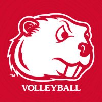 Minot State Volleyball (@msubeaversvb) 's Twitter Profile