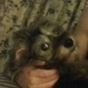CrispyBarrel's profile picture. single core brain running at 1 hz