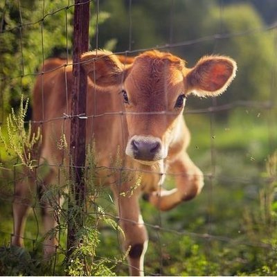 Waiting for the mother ship .......... #Vegan #Peace #OneLove
