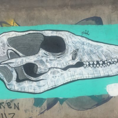 persona común y corriente que busca vivir en paz.Feminista