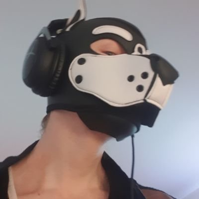 Pup Charlieさんのプロフィール画像
