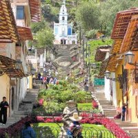 Albert (@alberin15) 's Twitter Profile