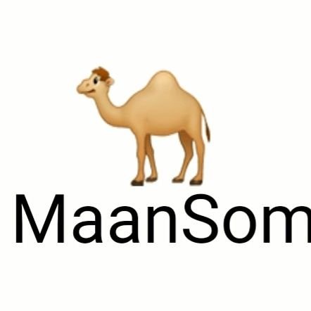 MaanSom
