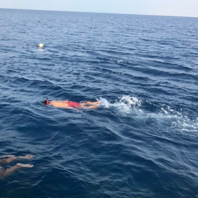 _mahayis's profile picture. 
