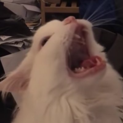 LucyV_1999's profile picture. just another depressed FFXIV player