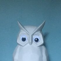 I’m an owl with googly eyes, I’m not sure what you expect