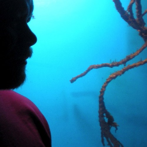 tre4k's profile picture. Make it stop