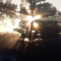 lynsey of the lake (@6bookbirds) 's Twitter Profile