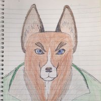Topher Ruthven 🇳🇿 (@ruthventopher) 's Twitter Profile