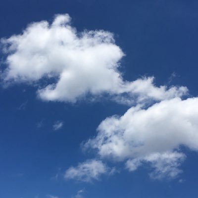 vagrantoffline's profile picture. 