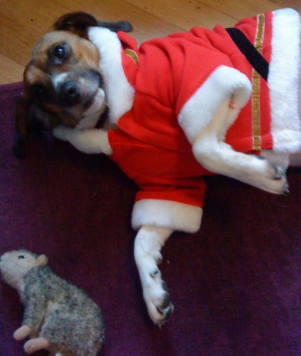 claregunns's profile picture. 