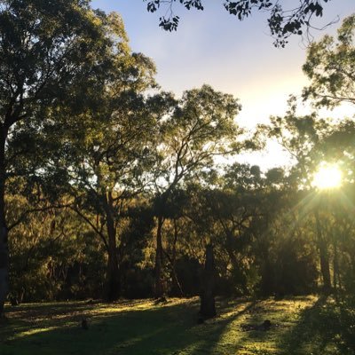 AuBrooowen's profile picture. LEEDS UNITED. ESSENDON FC.