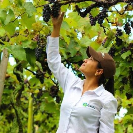 ingeniera Agrónoma.
Universidad Nacional de Colombia