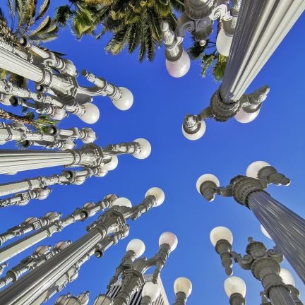 AleniWei's profile picture. 生物医学学者at九州大学，Scholar on Embryos, Genetics & Ethics. Formerly worked at UCLA and China.