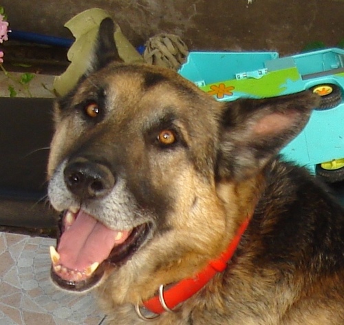 molina_alex's profile picture. 