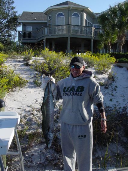 lucybass1's profile picture. 