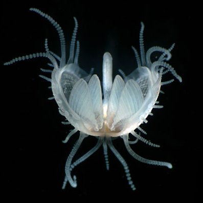 Kinaesthetic8's profile picture. Gen X. Introvert troglodyte. She/they.